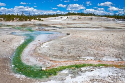 Pinwheel Geyser, Norris Geysir Bassin