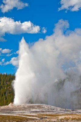 Old Faithful Geyser