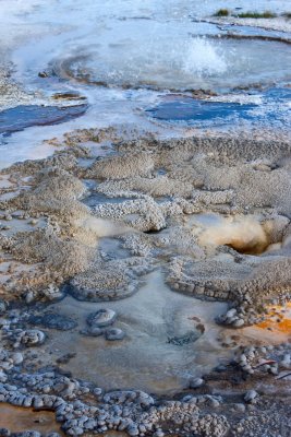 Anemona Geyser, Upper Geyser Bassin