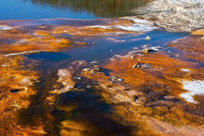 Aurum Geyser, Upper Geyser Bassin