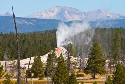 White Dome Geyser