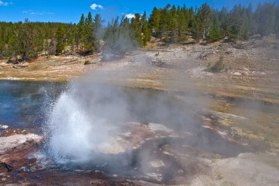 Artesia Geyser, Firehole Lake