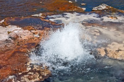 Artesia Geyser, Firehole Lake