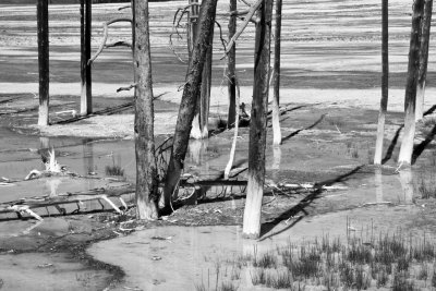 Firehole Lake