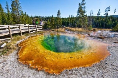 Morning Glory Pool, Upper Geyser Bassin