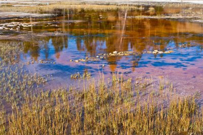 Chromatic Pool, Upper Geyser Bassin