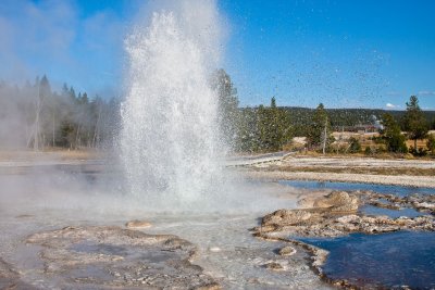 Sawmill Geyser, Upper Geyser Bassin