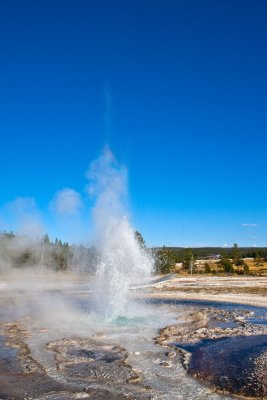 Sawmill Geyser, Upper Geyser Bassin