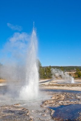 Sawmill Geyser, Upper Geyser Bassin