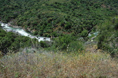 DSC_4781.jpg