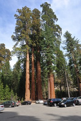 DSC_4868.jpg