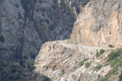 DSC_0029.jpg