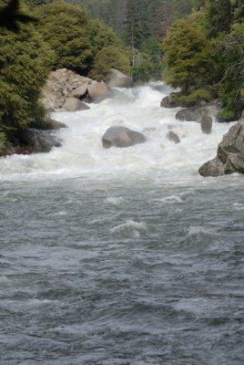 DSC_0031.jpg