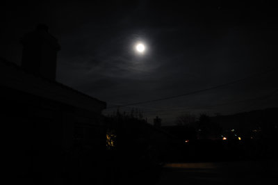 Blue Moon.jpg