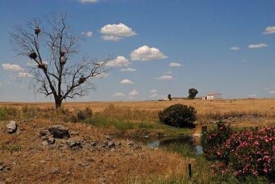 spanje1.jpg