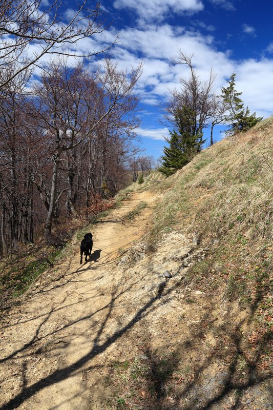 Black on walk