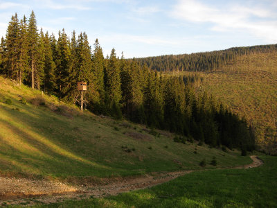 Late evening