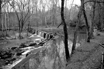 dam.IMG_6361.jpg