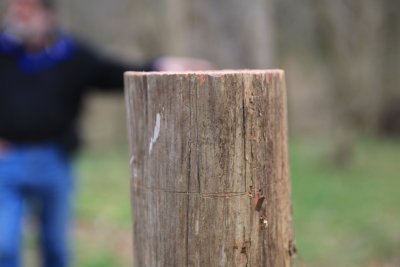 marking.tenon.IMG_6372.jpg