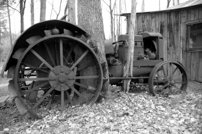 tractor.tree.IMG_6358.jpg