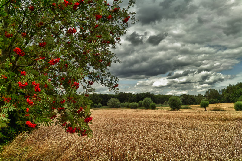Stormy summer