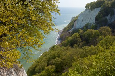 View from Knigsstuhl