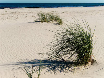 Sandhammaren Beach