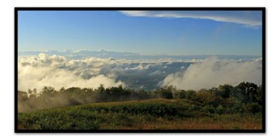 Mystical Afternoon in Shenandoah N.P.jpg