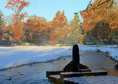 Museum Park2.jpg
