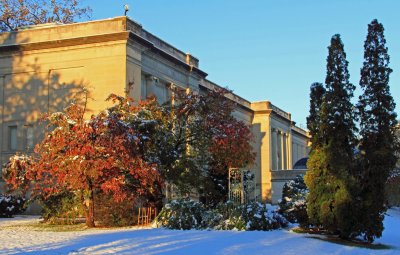 Museum Park October Snowstorm