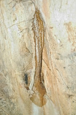 DSC_1348.jpg
