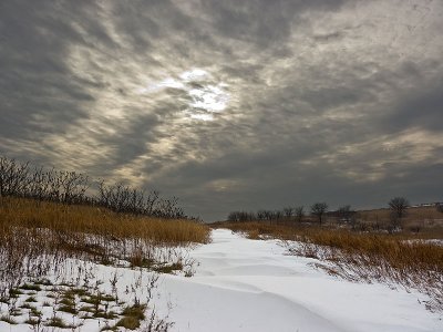 New Jersey Meadowlands