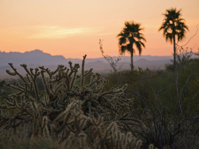 Paradise Valley, Arizona