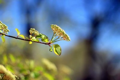 IMG_5789.JPG