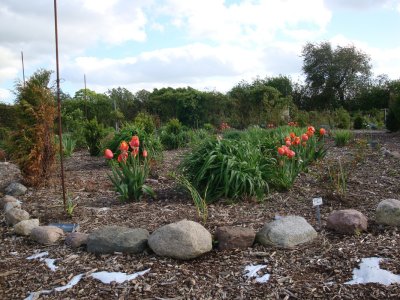 06.jpg