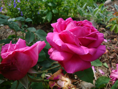 169.jpg