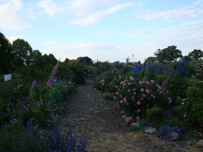 04.jpg
