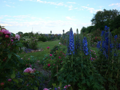 05.jpg