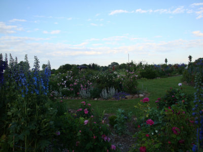 06.jpg