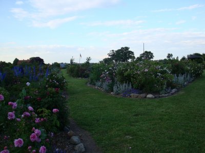 08.jpg