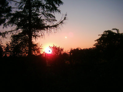 02.jpg