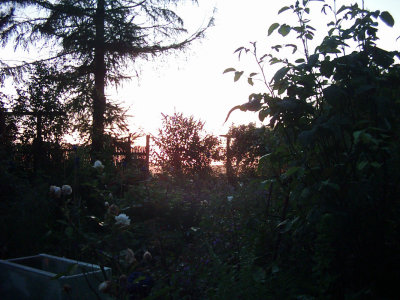 05.jpg