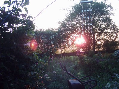 06.jpg