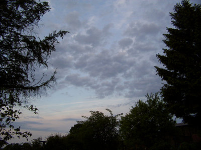 07-3.jpg