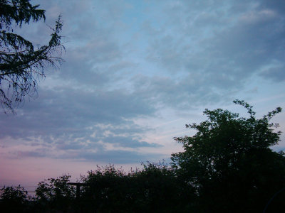 07-4.jpg