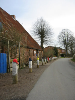 40.jpg