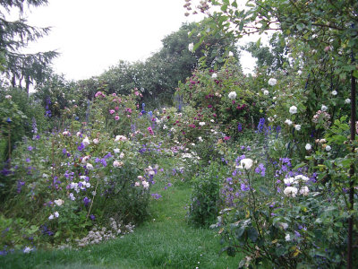 87.jpg