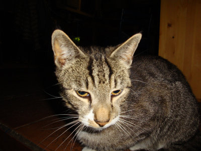 114.jpg