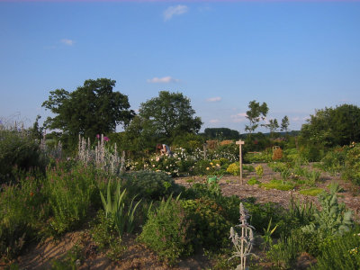 Rosenpark 2011