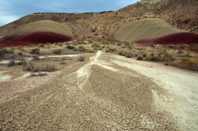 Dry Wash, Painted Hills